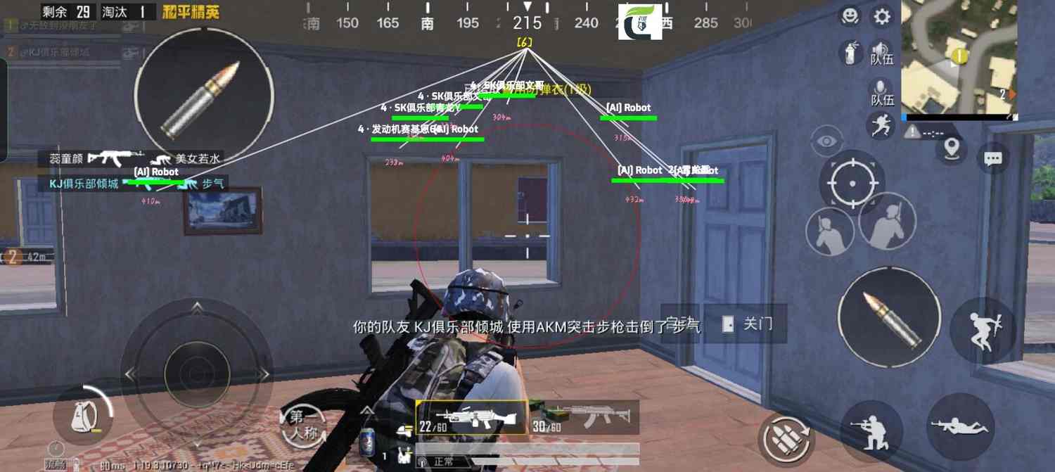 和平精英辅助【神眸】